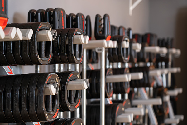 Fitness & Krafttraining